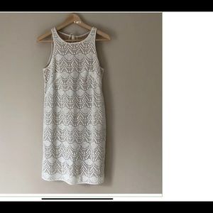 Ann Taylor Loft Dress